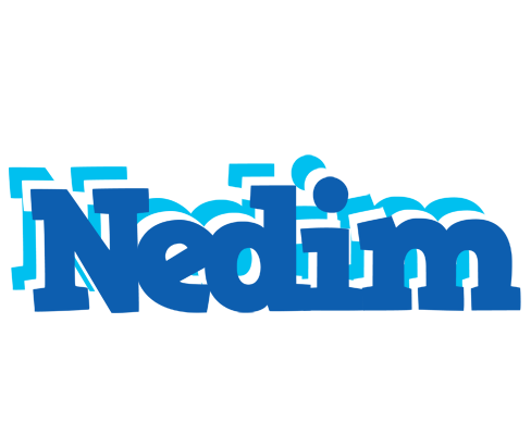 Nedim business logo