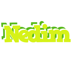 Nedim citrus logo