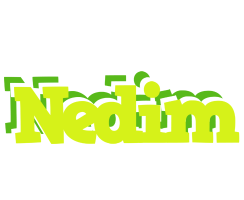 Nedim citrus logo