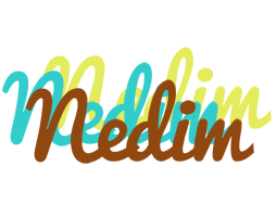 Nedim cupcake logo