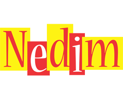 Nedim errors logo