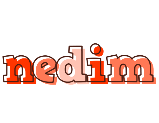 Nedim paint logo