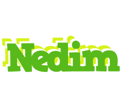 Nedim picnic logo