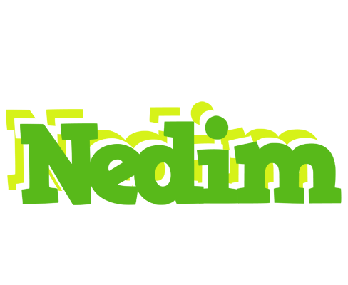 Nedim picnic logo