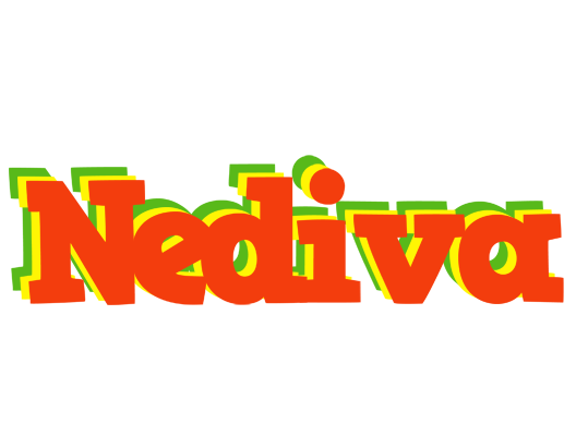 Nediva bbq logo