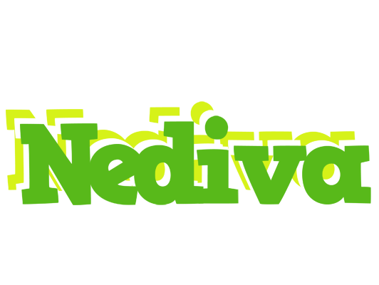 Nediva picnic logo