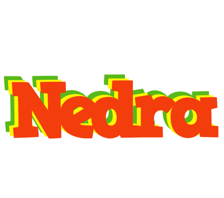 Nedra bbq logo