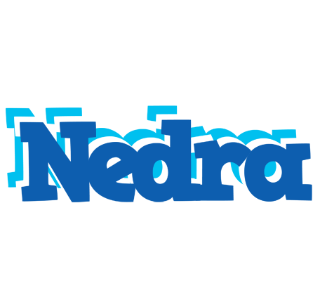 Nedra business logo
