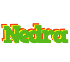 Nedra crocodile logo