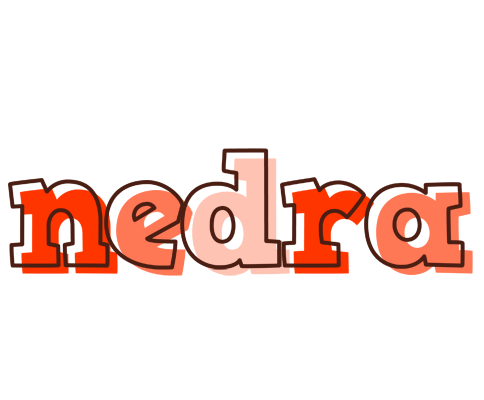 Nedra paint logo