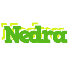 Nedra picnic logo