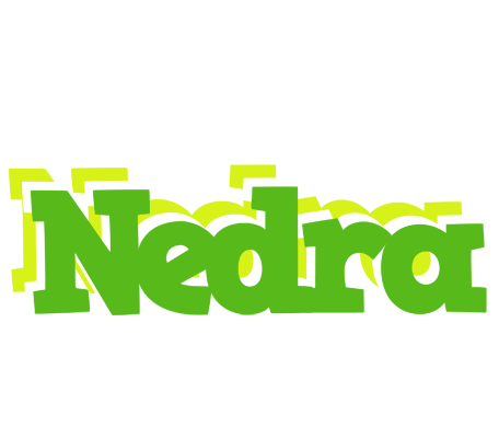 Nedra picnic logo