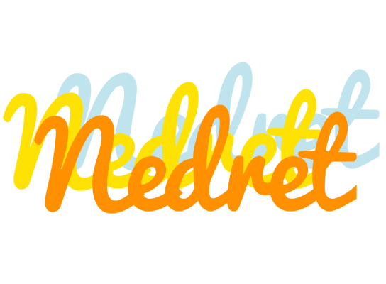 Nedret energy logo