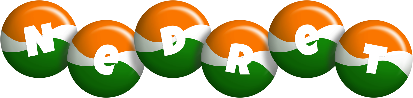 Nedret india logo