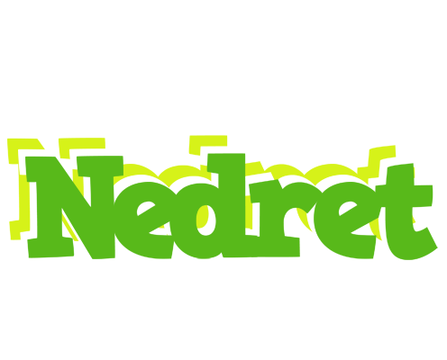 Nedret picnic logo