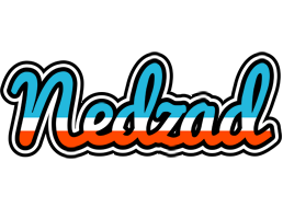 Nedzad america logo