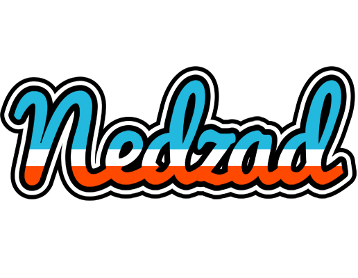 Nedzad america logo