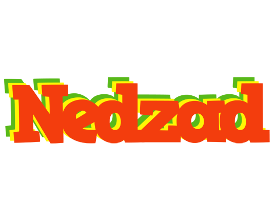 Nedzad bbq logo