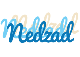 Nedzad breeze logo