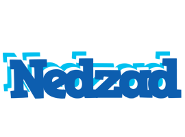 Nedzad business logo