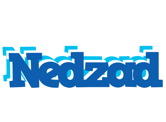 Nedzad business logo