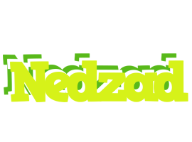 Nedzad citrus logo