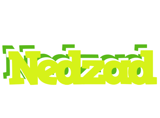 Nedzad citrus logo