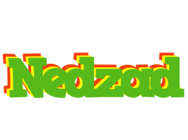 Nedzad crocodile logo