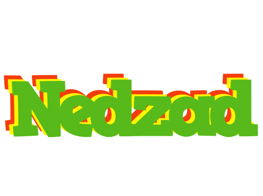 Nedzad crocodile logo