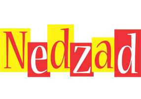 Nedzad errors logo