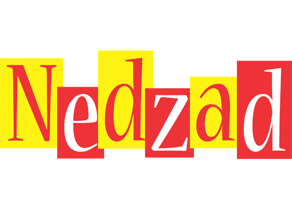 Nedzad errors logo
