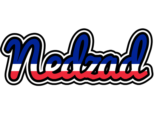 Nedzad france logo