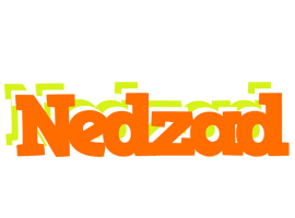 Nedzad healthy logo