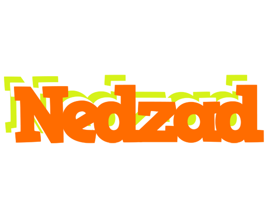 Nedzad healthy logo