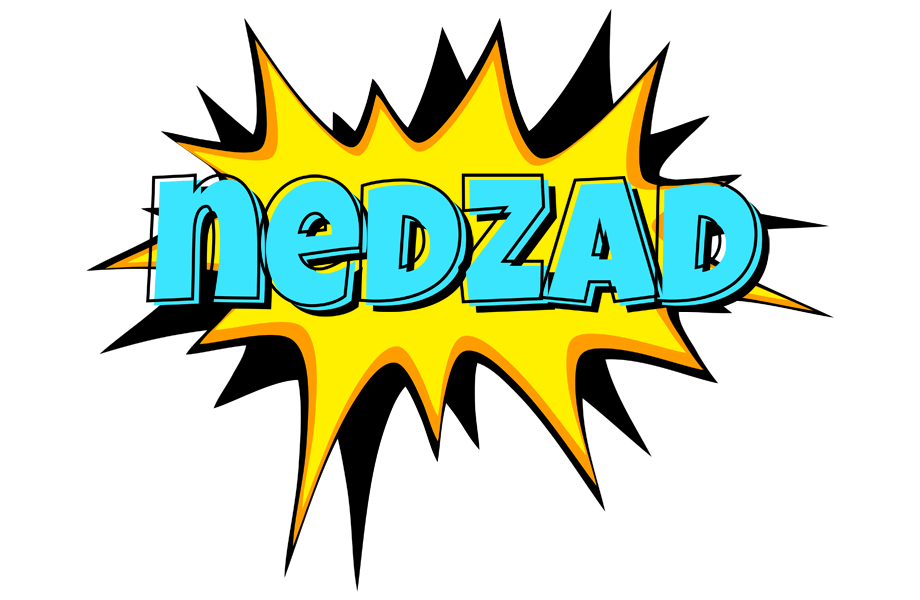 Nedzad indycar logo