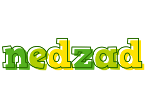 Nedzad juice logo