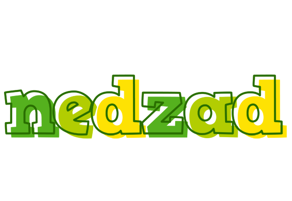 Nedzad juice logo
