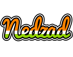 Nedzad mumbai logo