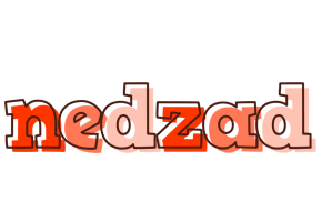 Nedzad paint logo