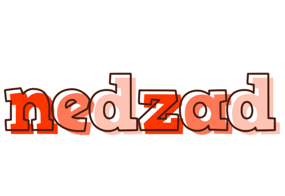 Nedzad paint logo