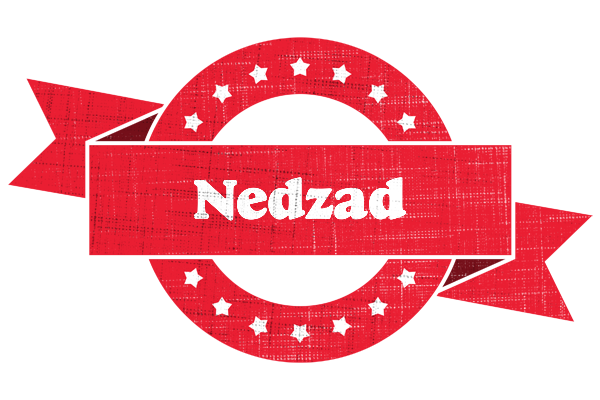 Nedzad passion logo