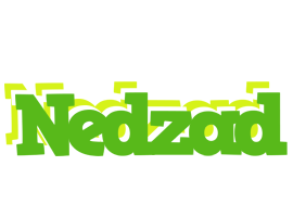 Nedzad picnic logo