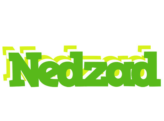 Nedzad picnic logo
