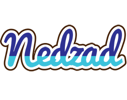 Nedzad raining logo