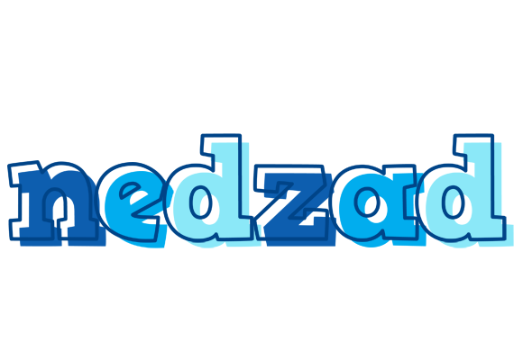 Nedzad sailor logo