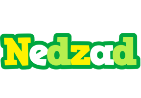 Nedzad soccer logo