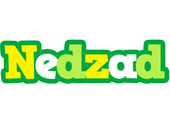Nedzad soccer logo