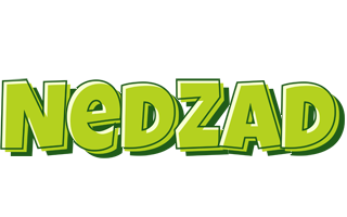 Nedzad summer logo