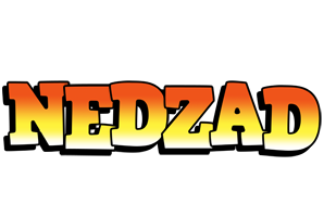 Nedzad sunset logo