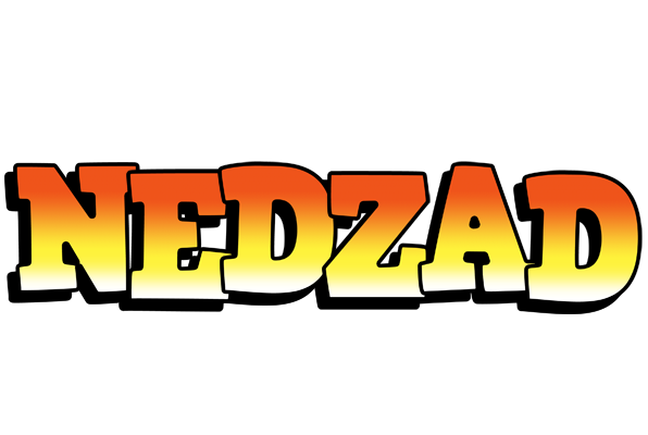 Nedzad sunset logo